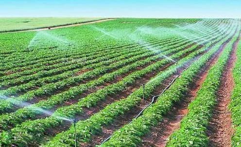 肏小粉屄农田高 效节水灌溉